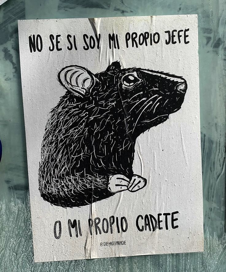 emprendimiento de sushi